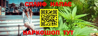 стаф Лесосибирск